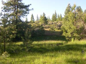 Medicine Hill